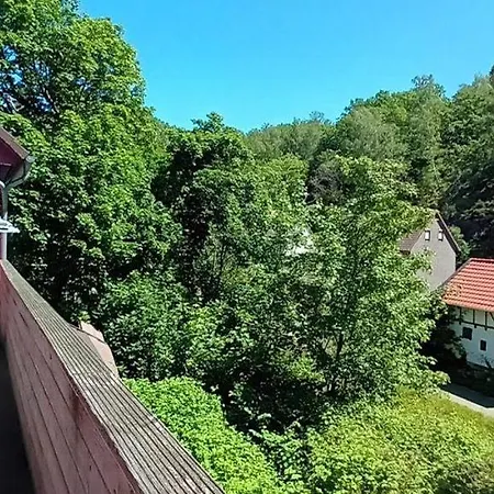 Ferienwohnung-okerufer Apartament *